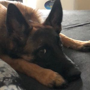 Meet your Posher, Kaitlin